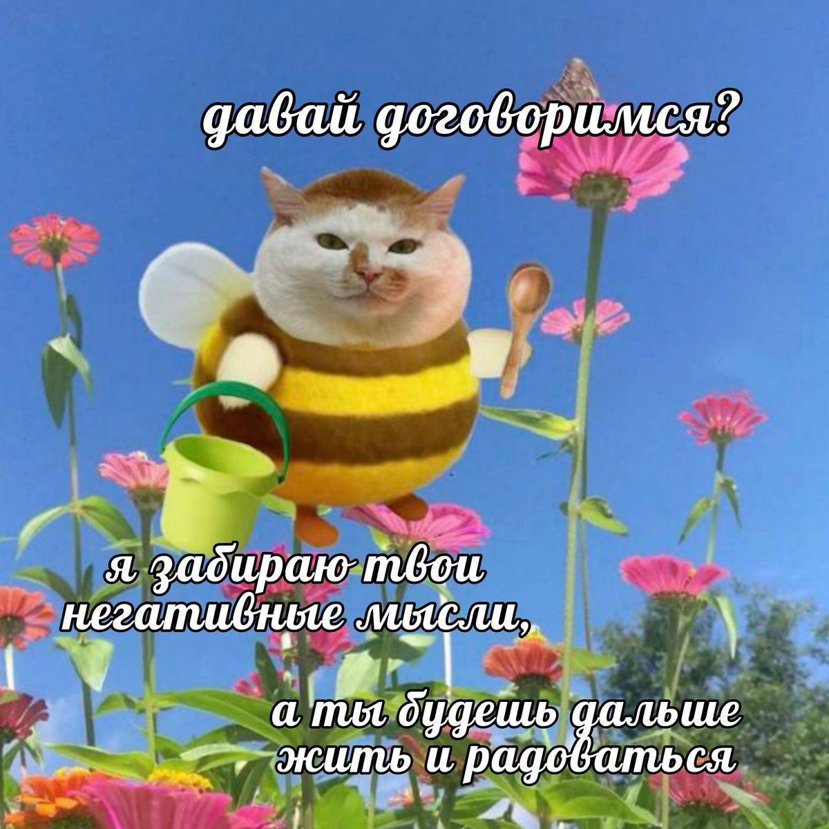 давай договорился? я mbou негативные буде жить