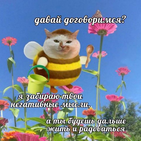 давай договорился? я mbou негативные буде жить