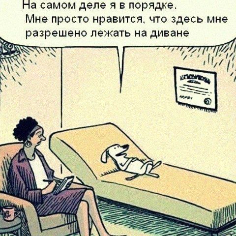 На самом деле я в порядке. Мне просто нравится, что здесь мне разрешено лежать на диване 7 A