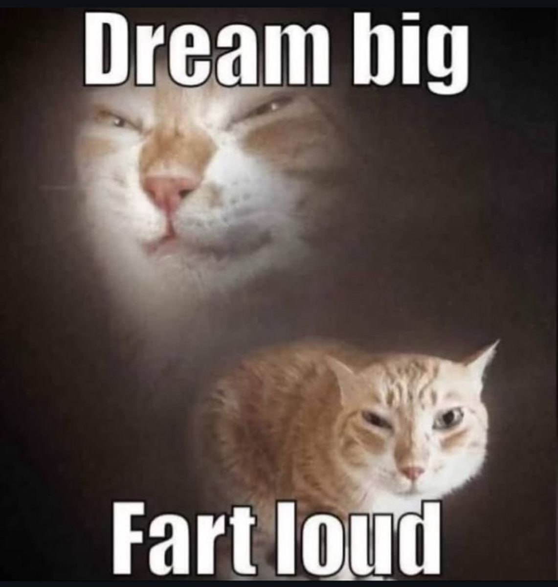 Dream big Fart