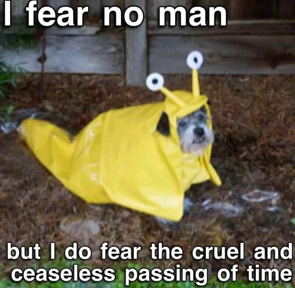 fear по man but fear the cruel and ceaseless passing of time