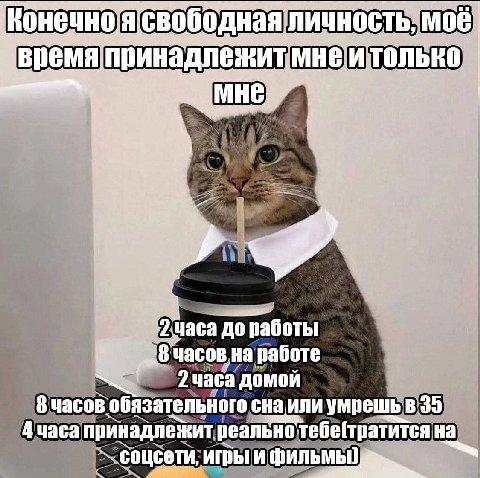 свободная личность, моб Время принадлежит мнеи только i 8 часов на работе 2 часа домой 8 часов обязательного сна или умрешь в 35 4 часа принадлежит реальнотебе(тратитсяна соцеети, игры и
