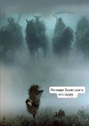 Не надо было звать лошадку...