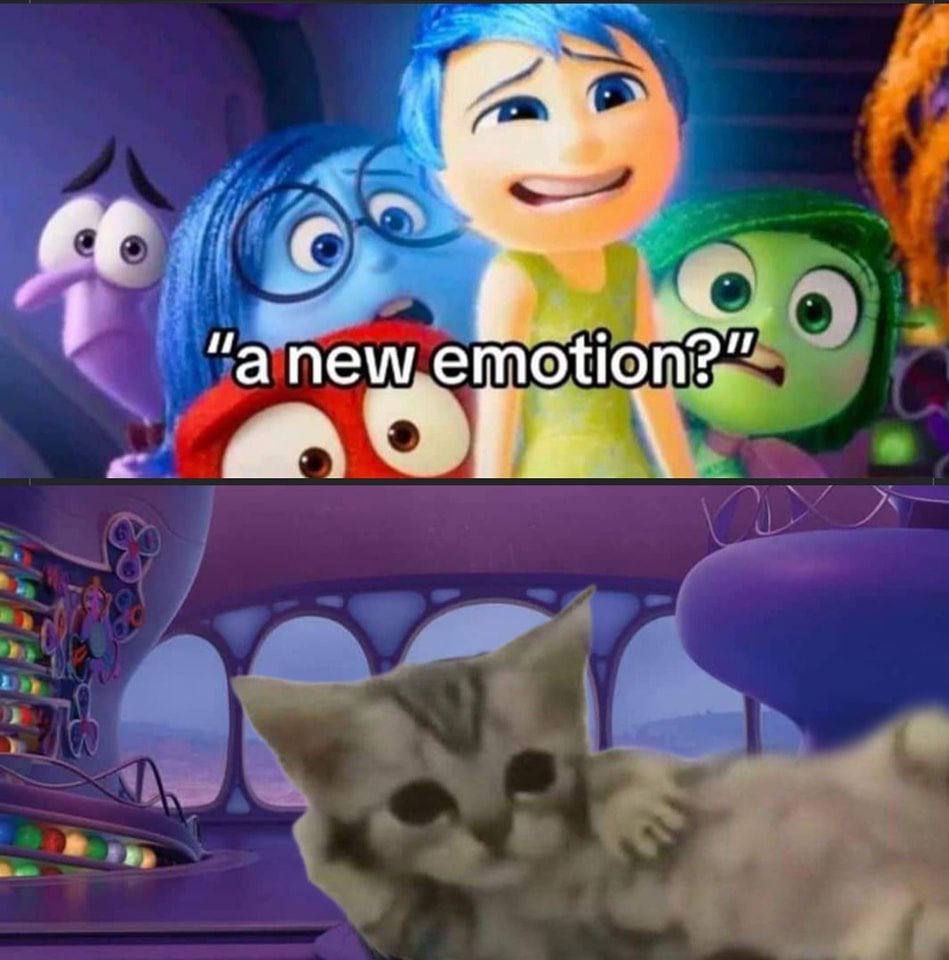“anew