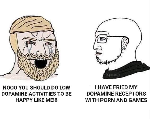 HAVE FRIED MY NOOO YOU SHOULD LOW DOPAMINE ACTIVITIES TO BE DOPAMINE RECEPTORS HAPPY LIKE WITH PORN AND GAMES