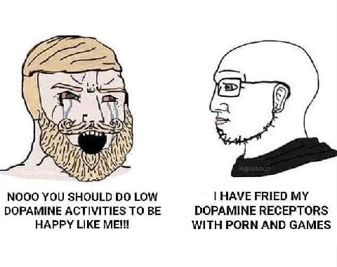 HAVE FRIED MY NOOO YOU SHOULD LOW DOPAMINE ACTIVITIES TO BE DOPAMINE RECEPTORS HAPPY LIKE WITH PORN AND GAMES