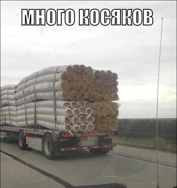 МНОПО "ОСНОВ Tee | Г (om crm С’ eve и ВИНТ я | => а т Е"