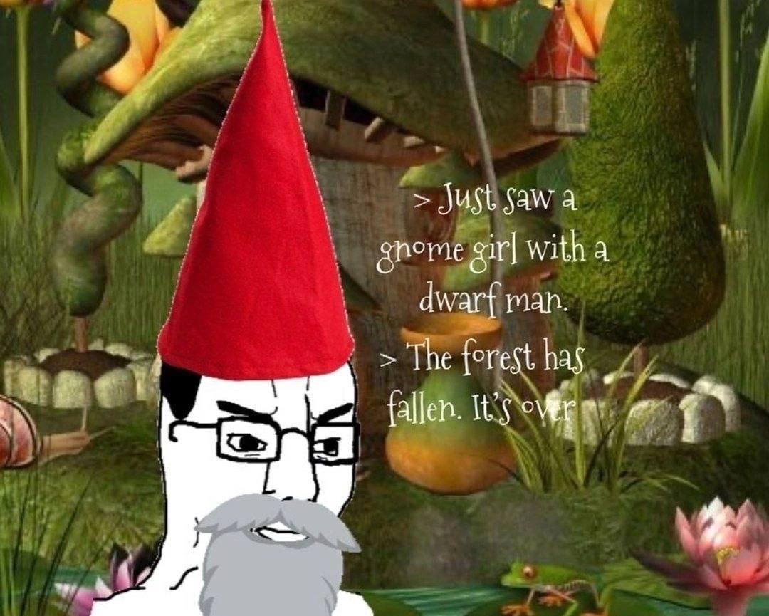 Just saw 4 gnome with a dwarf man. The forest has a i fallen. It’s