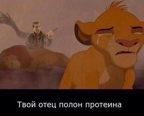 Твой отец полон протеина