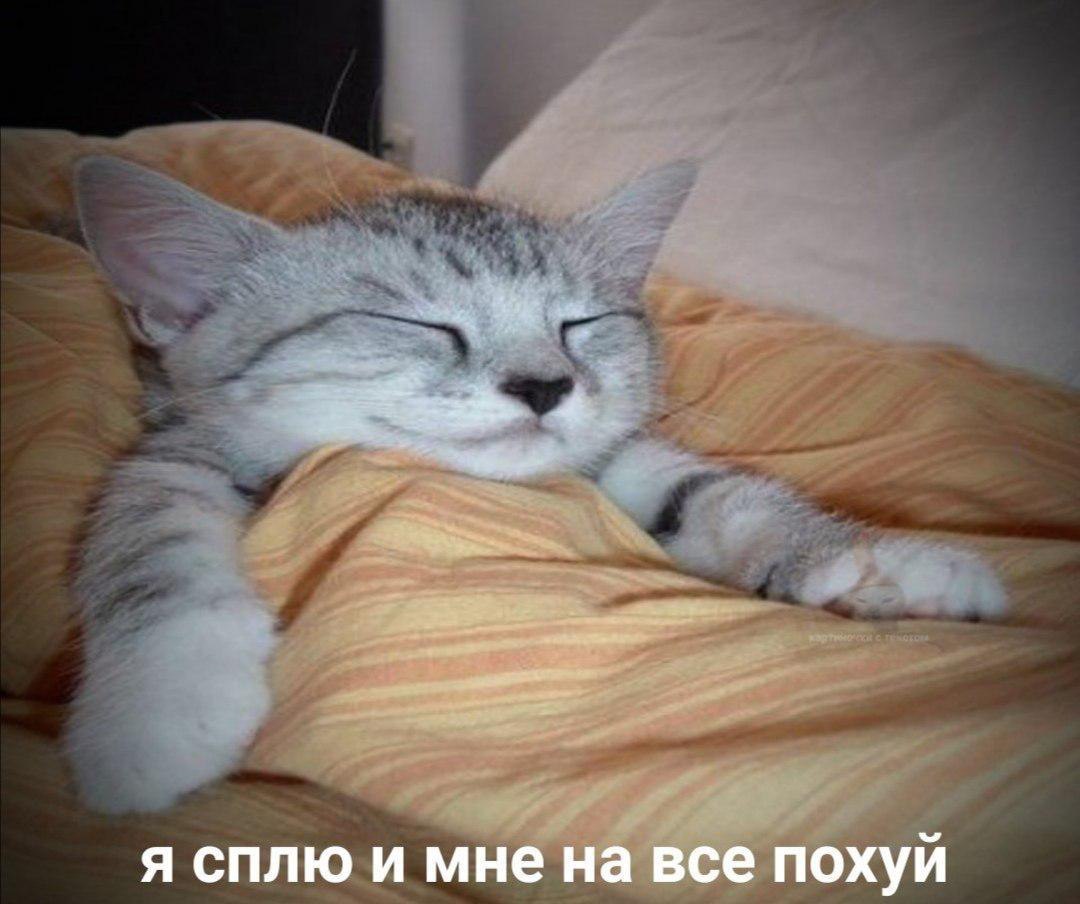 (нет(