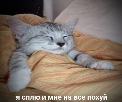 (нет(