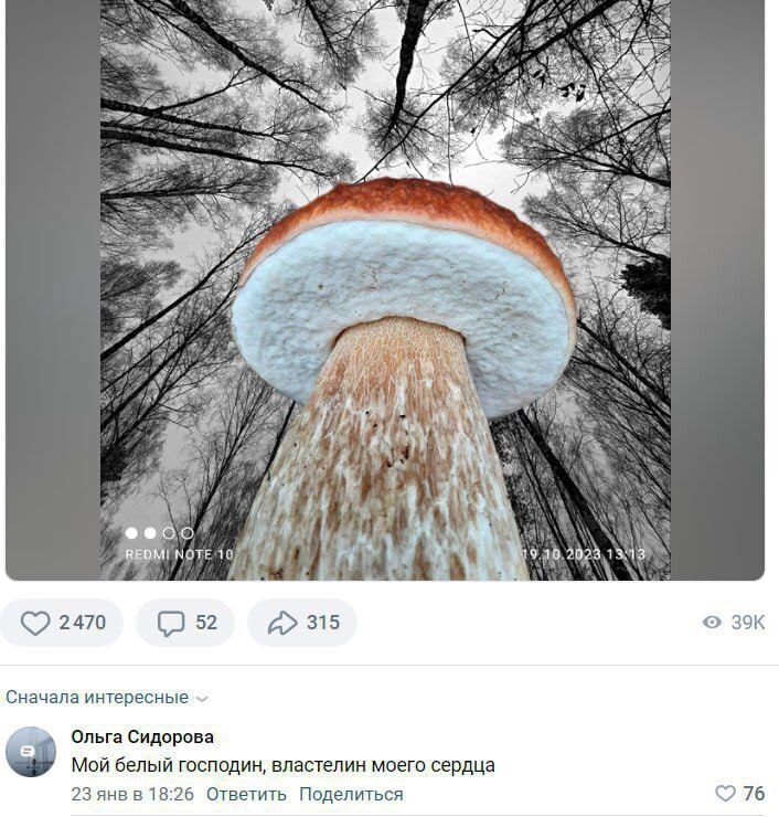И а У, =a Wal: я 74 2470 52 А» 315 Сначала интересные Ольга Сидорова Мой белый господин, властелин моего сердца 23 янв в 18:26 Ответить Поделиться 76