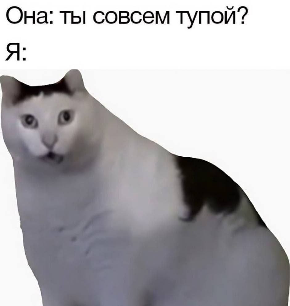Она: ты совсем тупой? Я: