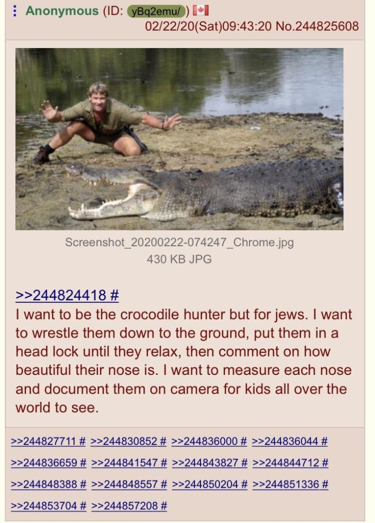 Anonymous 02/22/20(Sat)09:43:20 No.244825608 eff 3 я Chrome jpg 430 JPG >>244824418 want to be the crocodile hunter but for jews. want to wrestle them down to the ground, put them in a head lock until