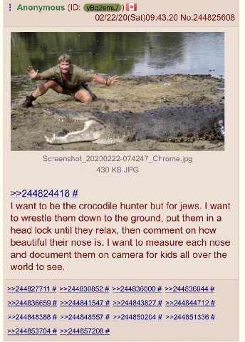 Anonymous 02/22/20(Sat)09:43:20 No.244825608 eff 3 я Chrome jpg 430 JPG >>244824418 want to be the crocodile hunter but for jews. want to wrestle them down to the ground, put them in a head lock until