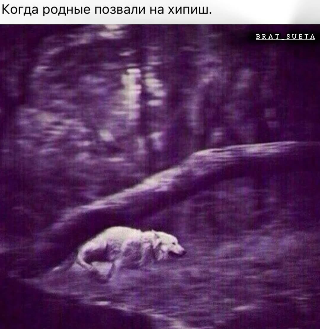 Когда родные позвали на хипиш. BRAT SUETA