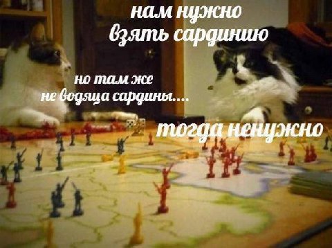нам нужно сардинию но там же нефодяца сардины....
