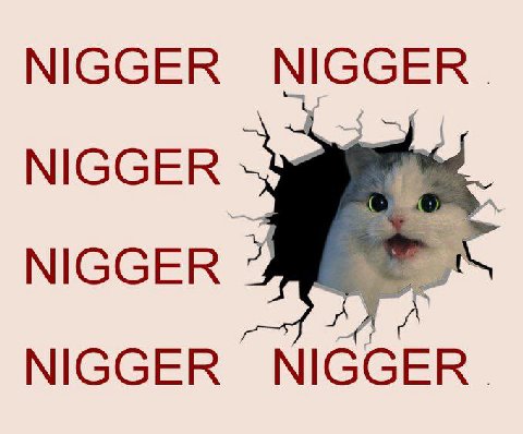 NIGGER NIGGER NIGGER NIGGER NIGGER