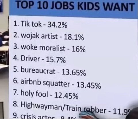 1. Tik tok 34.2% 2. wojak artist 18.1% 3. woke moralist 16% 4. Driver 15.7% 5. bureaucrat 13.65% 6. airbnb squatter 13.45% 7. holy foo! 12.45% 8. Highwayman/Trai ber