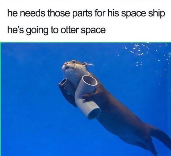he needs those parts for his space ship he’s going to otter space