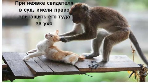 При неявке в суд, имели право туда A