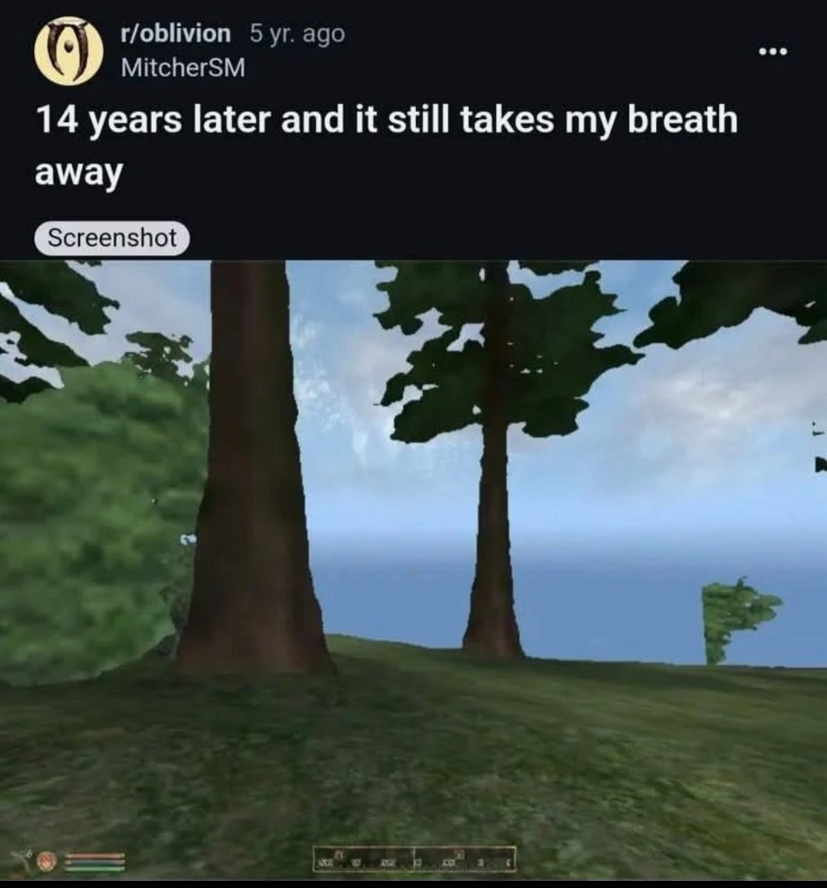 r/oblivion 5 ago eee MitcherSM 14 years later and it still takes my breath away