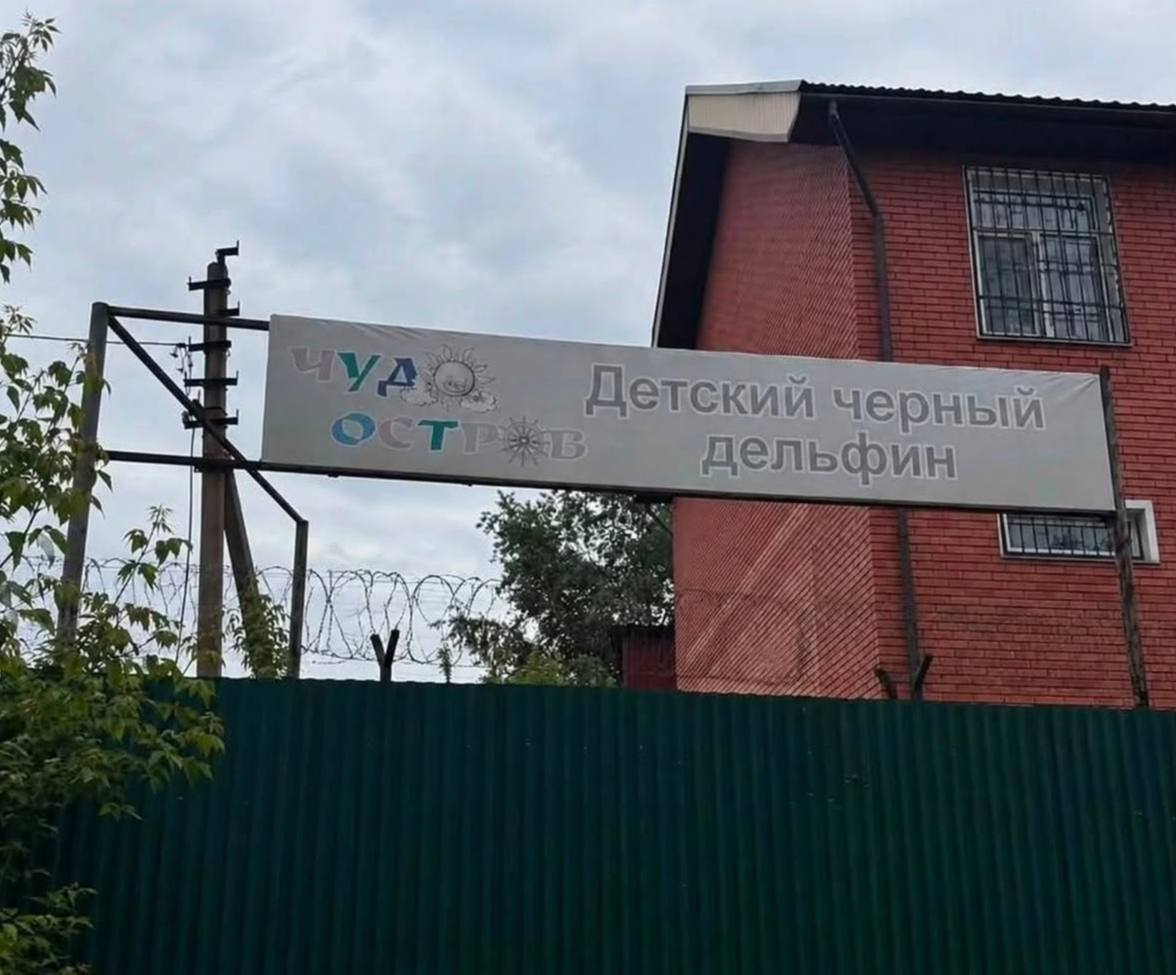 iN черный дельфин