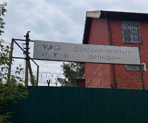 iN черный дельфин
