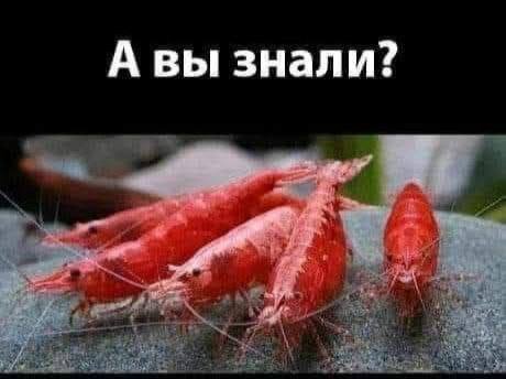 это я ЗНАЮ