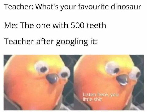 Teacher: What's your favourite dinosaur Me: The one with 500 teeth Teacher after googling it: Listen you little shit