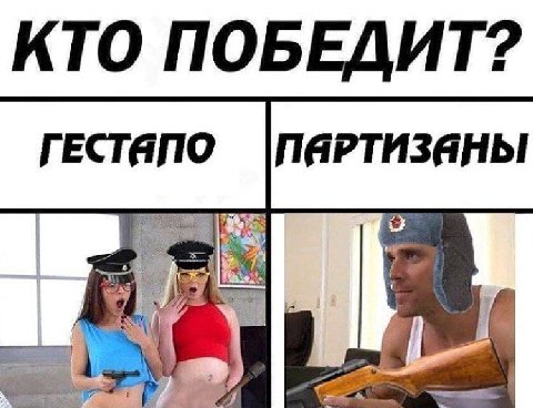 КТО ПОБЕДИТ? ГЕСТЯПО |ПЯРТИЗЯНЫ 5