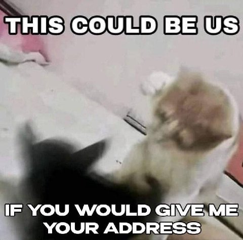 THIS COULD IF YOU WOULD GIVE ME YOUR ADDRESS