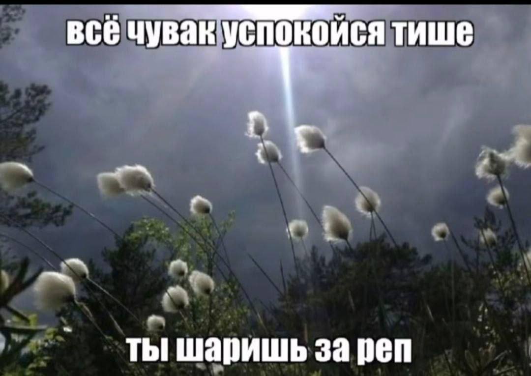 всё чувак успокойся тише ты шаришь за реп
