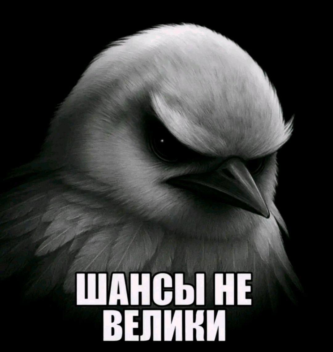 кто-то: «ты закроешь сессию до нового года??»

я:
