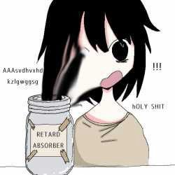 SHIT 2» RETARD ABSORBER 7