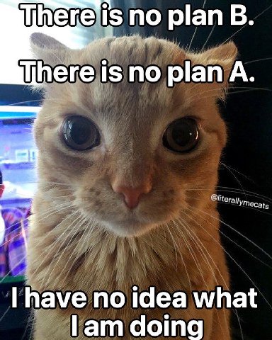 is no plan В. Шреге is no plan A. have no idea what lam doing