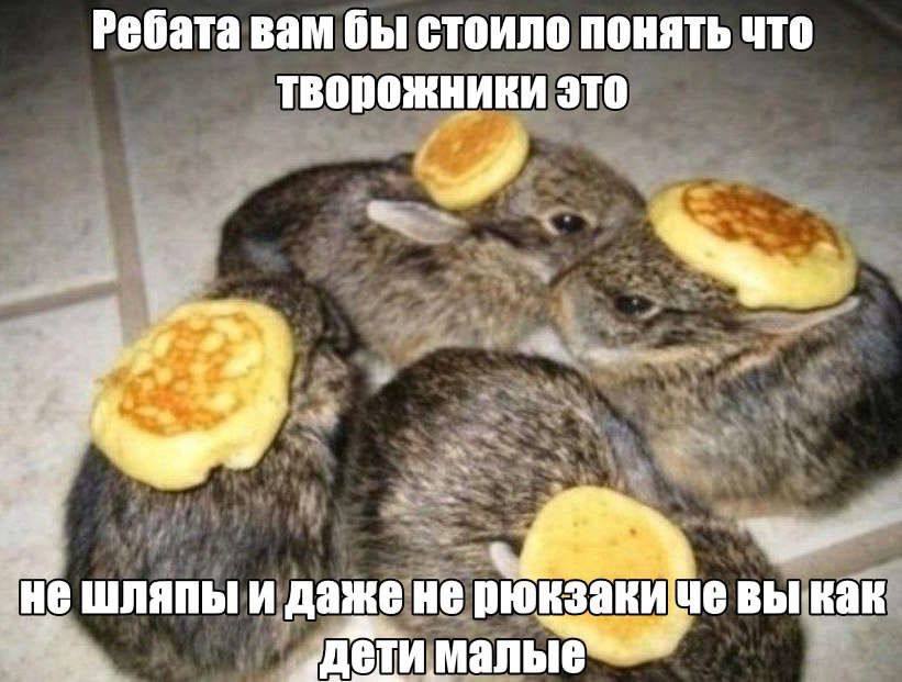 Ребата вам бы стоило понять что творожники это шляпы и даже He дети малые