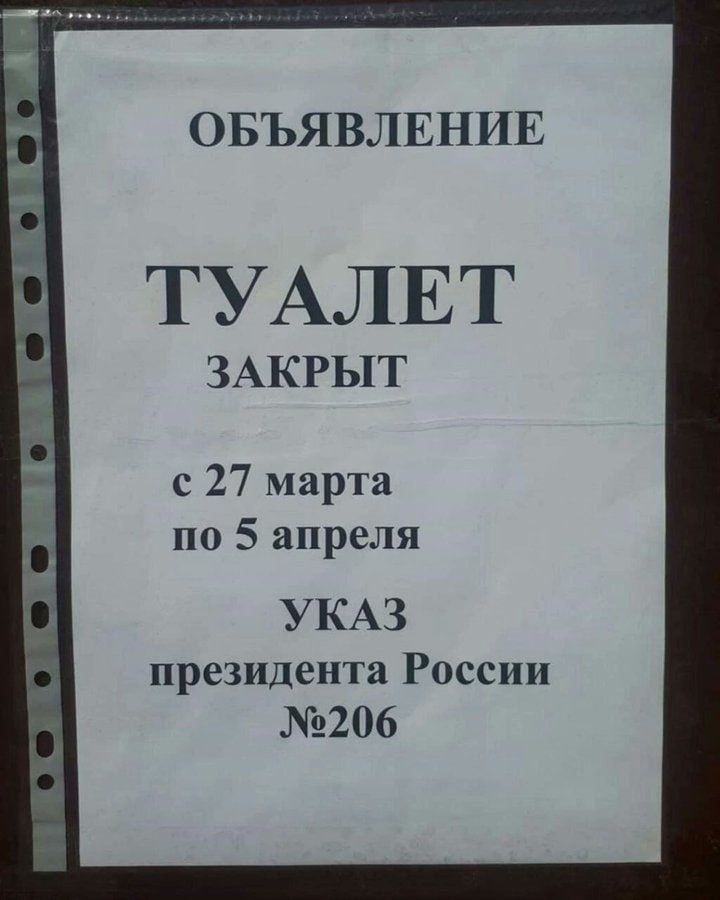 ОБЪЯВЛЕНИЕ ТУАЛЕТ ЗАКРЫТ с 27 марта по 5 апреля О УКАЗ президента России №206