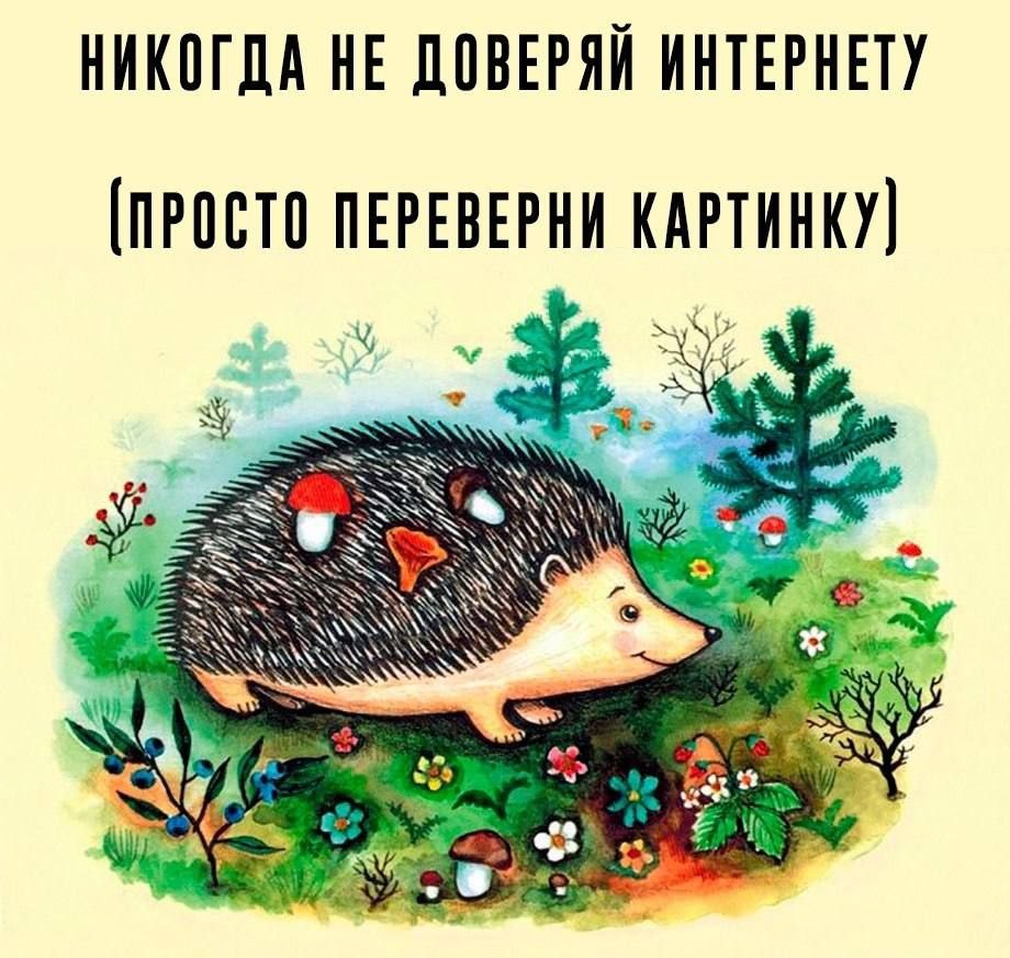 НИКОГДА НЕ ДОВЕРЯЙ ИНТЕРНЕТУ [ПРОСТО ПЕРЕВЕРНИ КАРТИНКУ) И 4