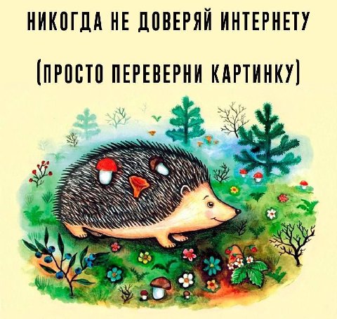 НИКОГДА НЕ ДОВЕРЯЙ ИНТЕРНЕТУ [ПРОСТО ПЕРЕВЕРНИ КАРТИНКУ) И 4
