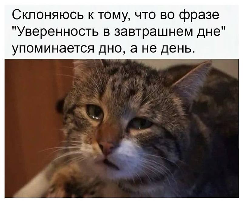 Склоняюсь к тому, что во фразе "Уверенность в завтрашнем дне" упоминается дно, а не день.