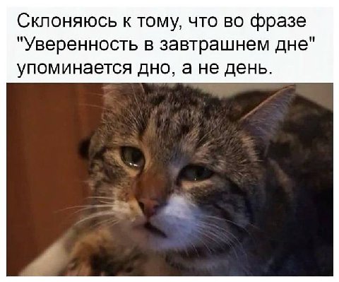 Склоняюсь к тому, что во фразе "Уверенность в завтрашнем дне" упоминается дно, а не день.