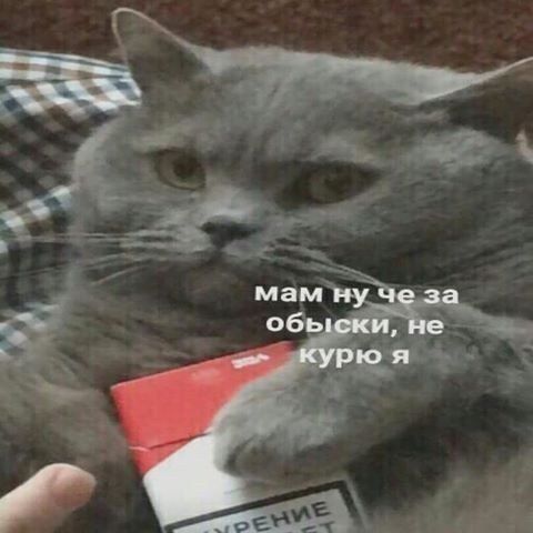 a мам ну че за обыски, не курю я