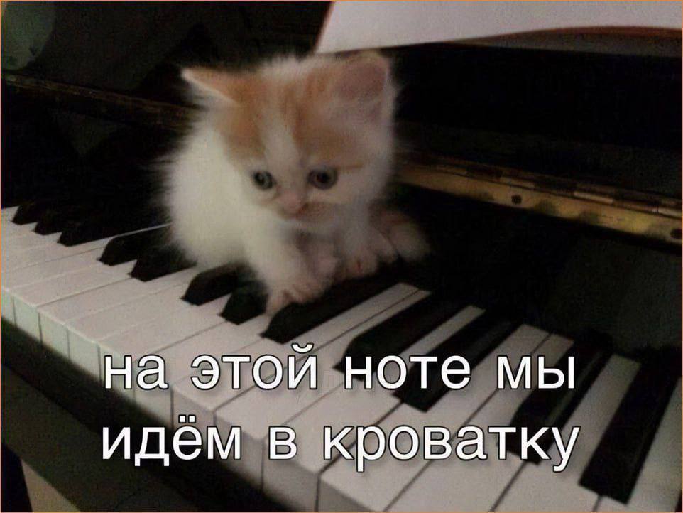 на этой ноте мы идем в кроватку
