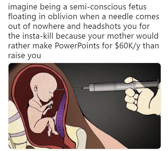 imagine being а semi-conscious fetus floating in oblivion when a needle comes out of nowhere and headshots you for the insta-kill because your mother would rather make PowerPoints for than raise you
