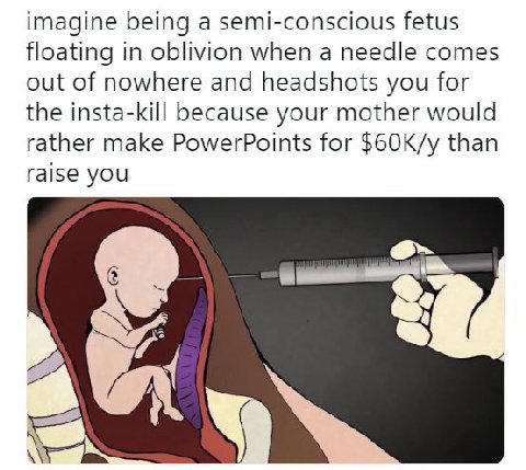 imagine being а semi-conscious fetus floating in oblivion when a needle comes out of nowhere and headshots you for the insta-kill because your mother would rather make PowerPoints for than raise you