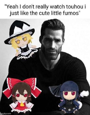 "Yeah don't really watch touhou just like the cute little fumos" 4
