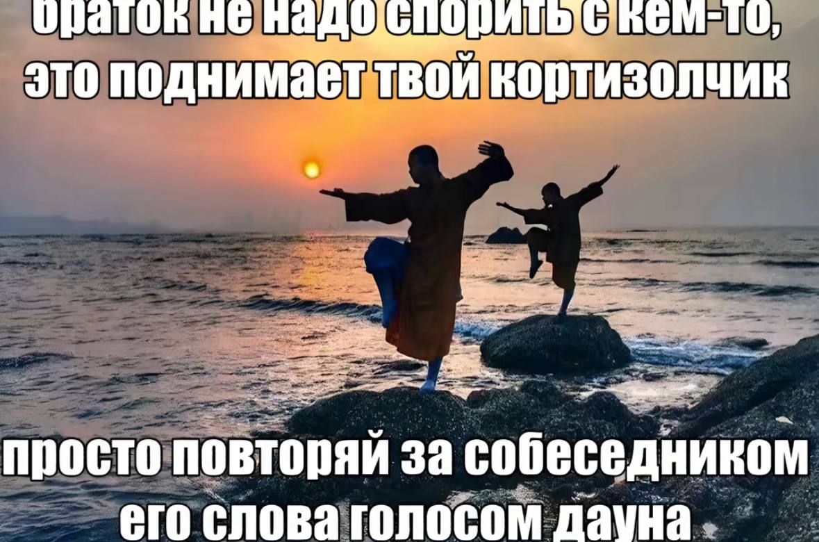 это поднимает твои кортизолчик просто NOBTOPAK за собеседником его слова голосом Дауна