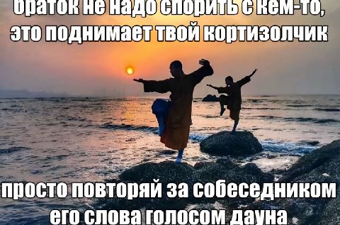 это поднимает твои кортизолчик просто NOBTOPAK за собеседником его слова голосом Дауна