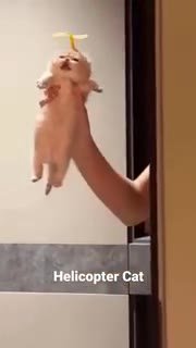 мем